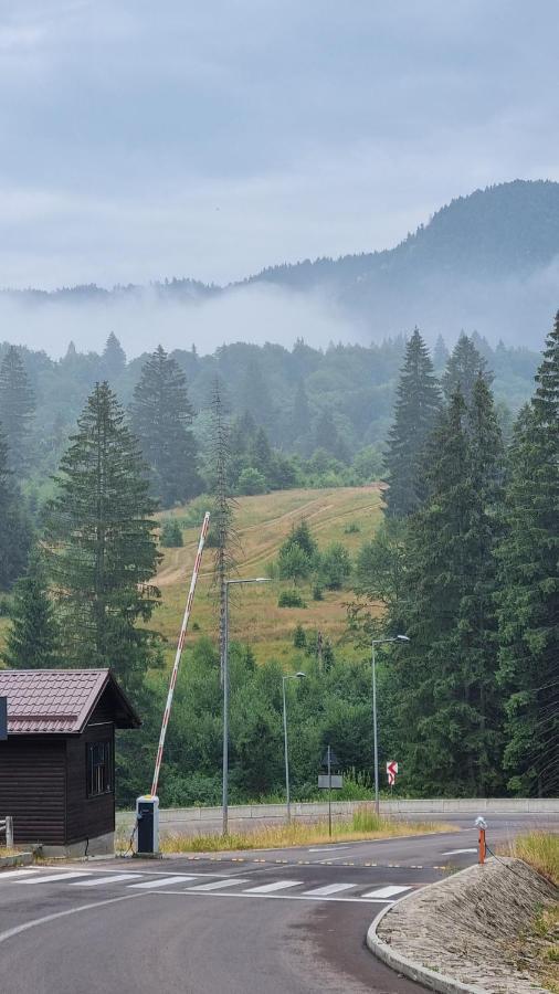 Charming Family Condo In Silver Mountain ポイアナ・ブラショフ エクステリア 写真